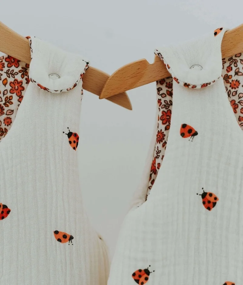 Gigoteuse coccinelles